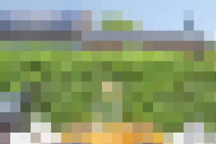 Iraklia 3 Hoofddorp thumbnail 27