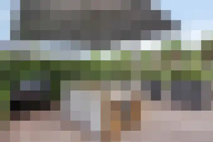 Iraklia 3 Hoofddorp thumbnail 28