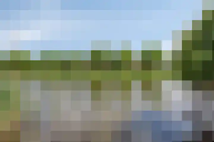 Iraklia 3 Hoofddorp thumbnail 30