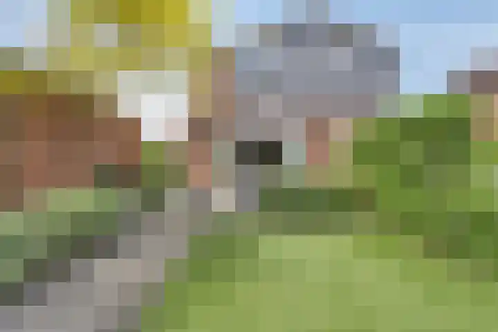 Iraklia 3 Hoofddorp thumbnail 33