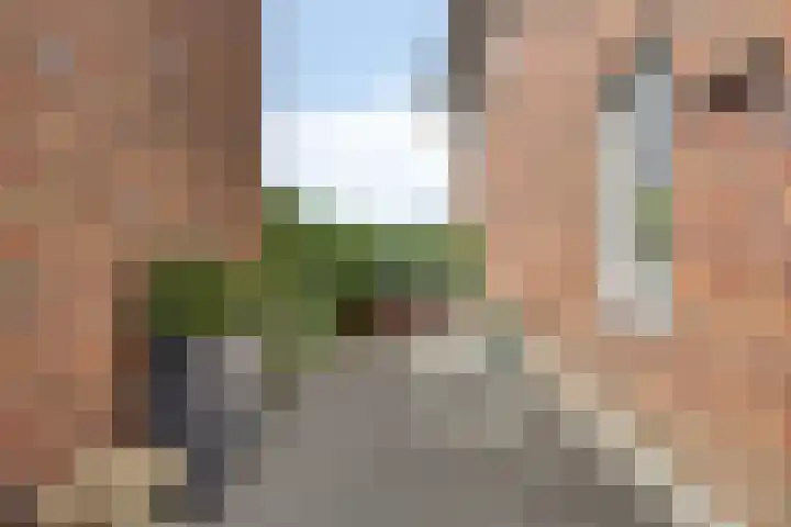 Iraklia 3 Hoofddorp thumbnail 35