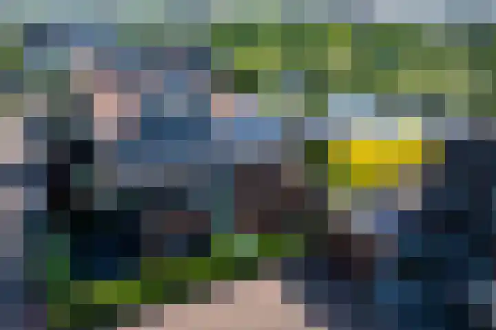 Iraklia 3 Hoofddorp thumbnail 36