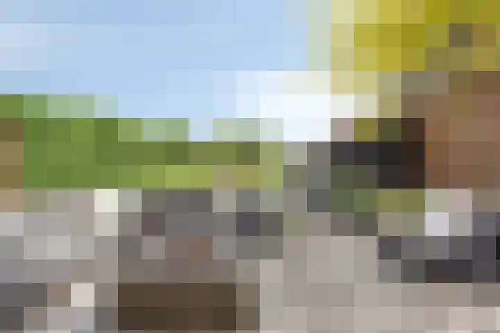 Iraklia 3 Hoofddorp thumbnail 4