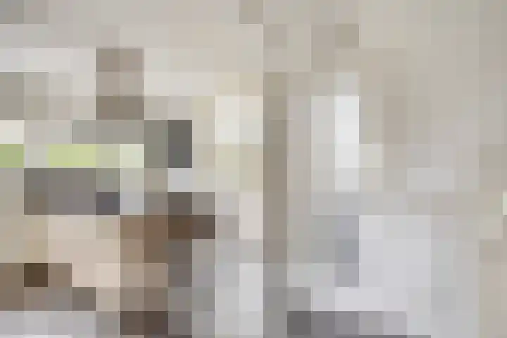 Iraklia 3 Hoofddorp thumbnail 5