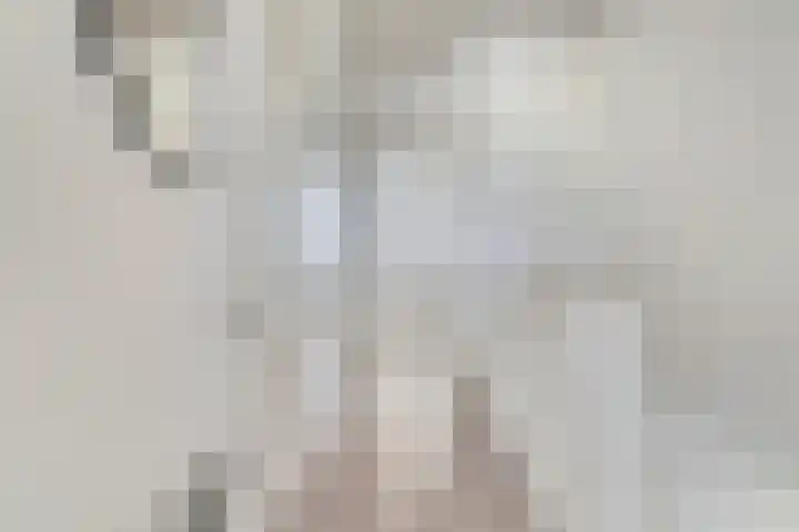 Iraklia 3 Hoofddorp thumbnail 57
