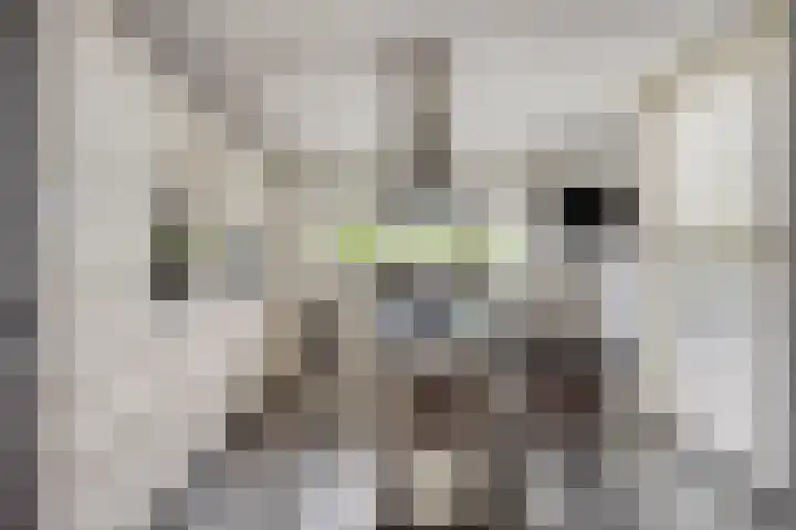 Iraklia 3 Hoofddorp thumbnail 6