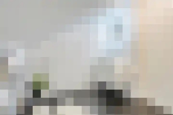 Iraklia 3 Hoofddorp thumbnail 61
