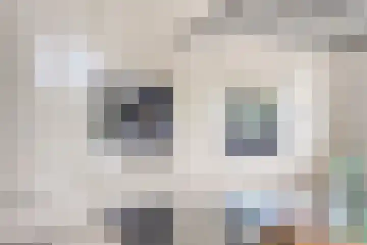Iraklia 3 Hoofddorp thumbnail 7