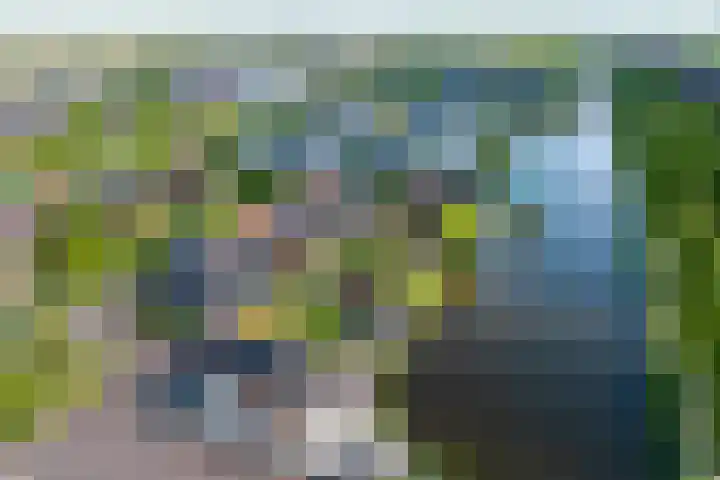 Iraklia 3 Hoofddorp thumbnail 70