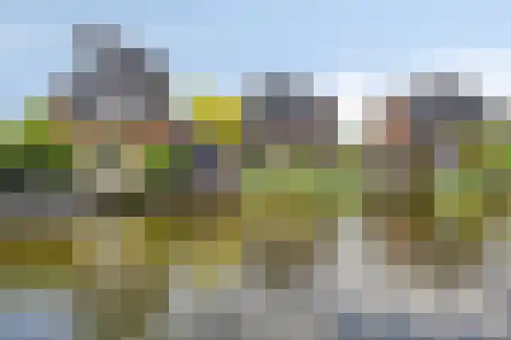 Iraklia 3 Hoofddorp thumbnail 75