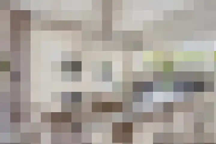 Iraklia 3 Hoofddorp thumbnail 8