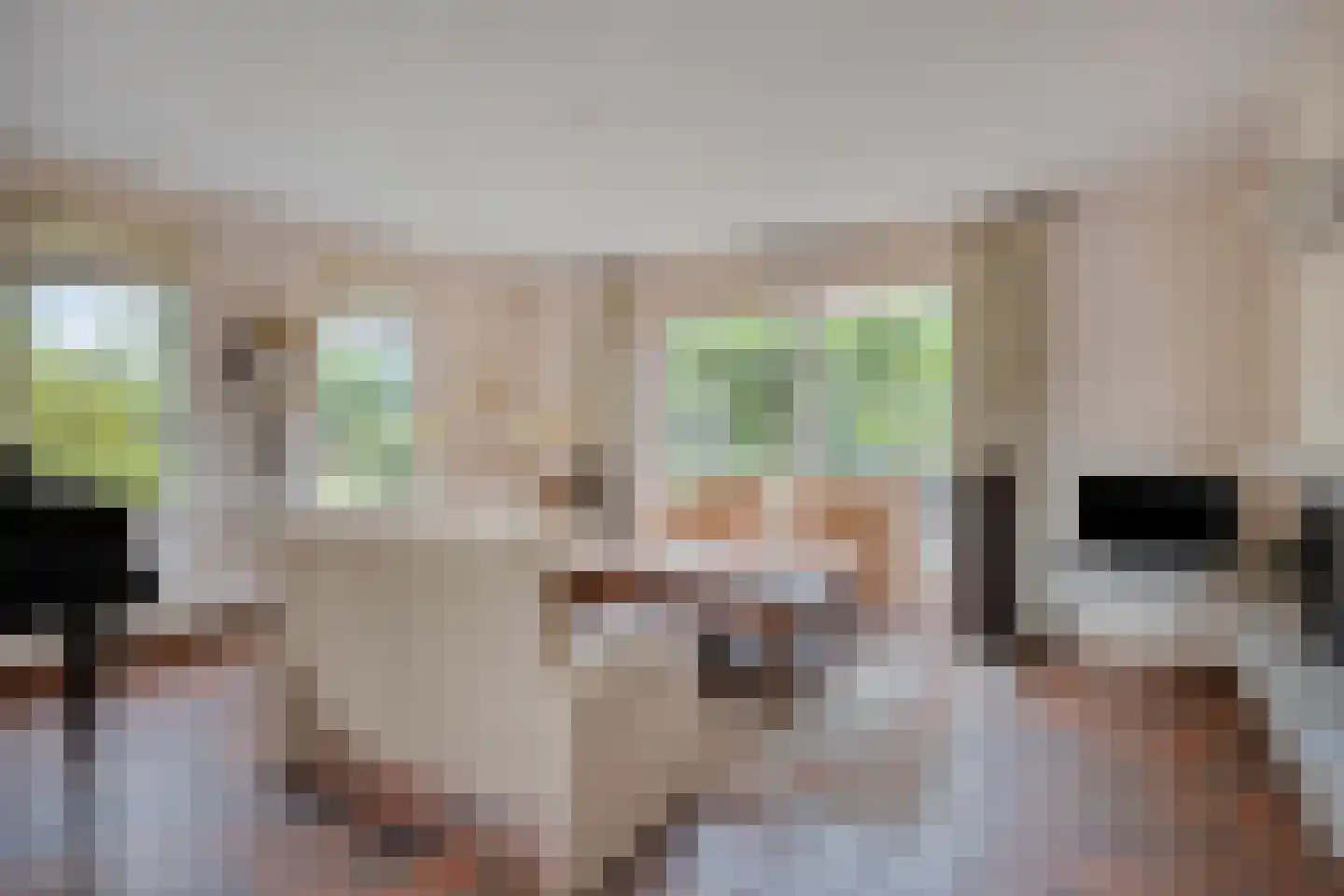 Iras 6 Heeze thumbnail 7