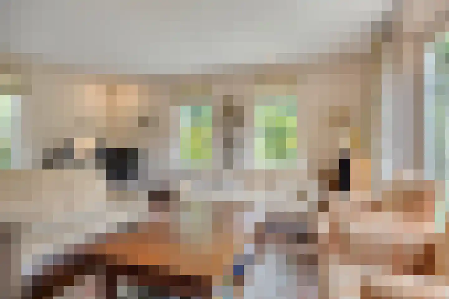 Iras 6 Heeze thumbnail 8