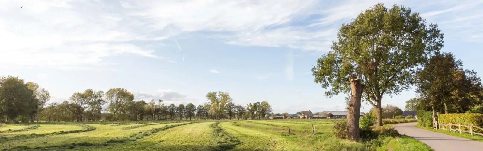 Team foto van Irene van Aken Makelaardij