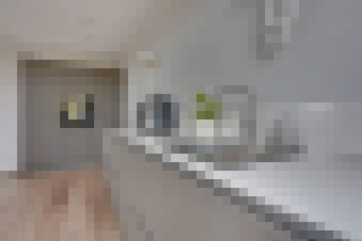 Irene Vorrinklaan 19 Woerden thumbnail 30