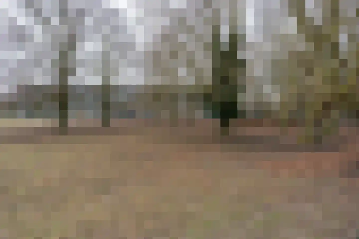 Irene Vorrinklaan 19 Woerden thumbnail 52