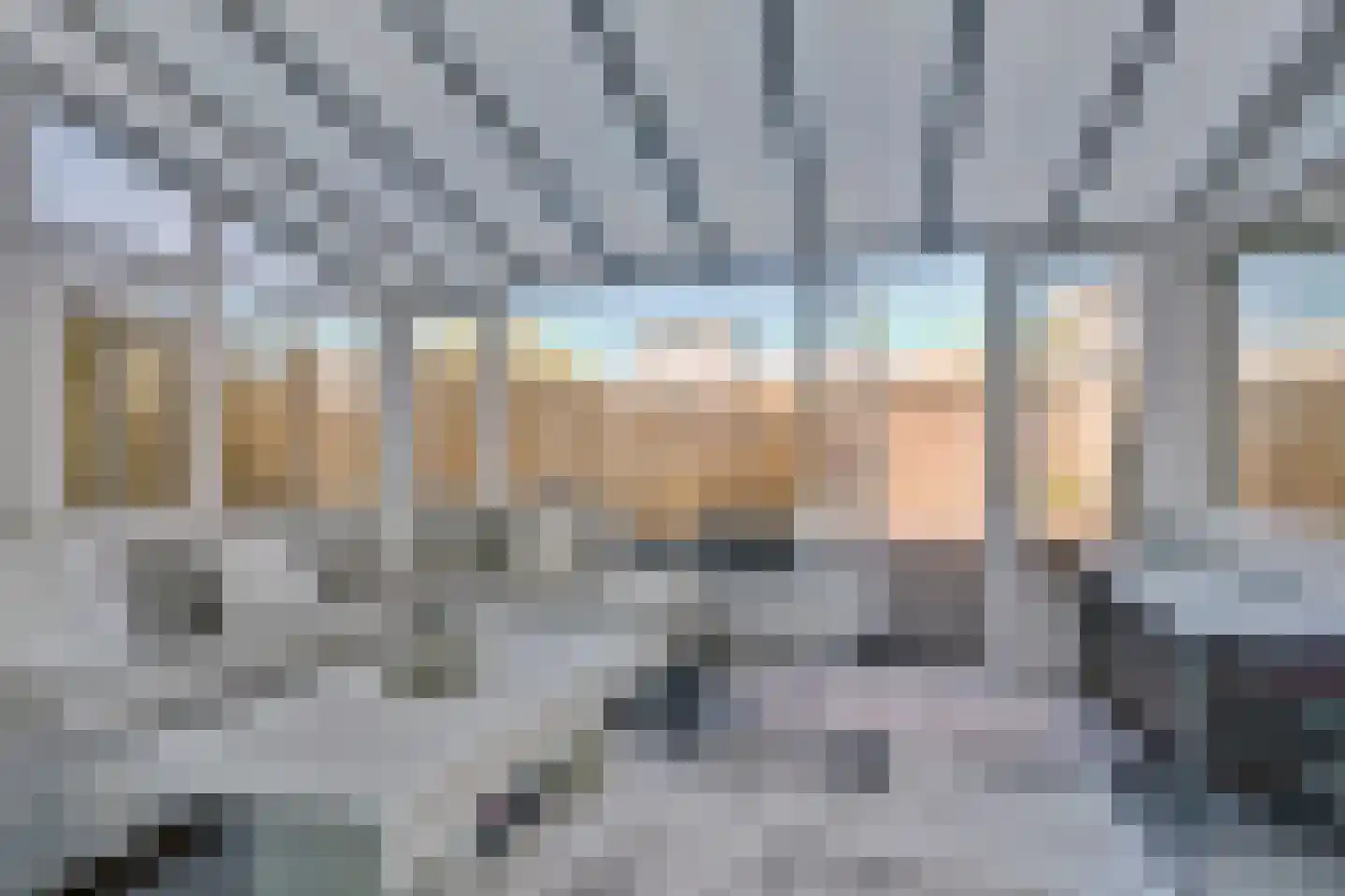 Irene Vorrinkland 27 Heerhugowaard thumbnail 12
