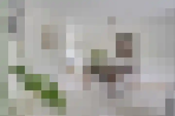 Irene Vorrinkland 32 Heerhugowaard thumbnail 14