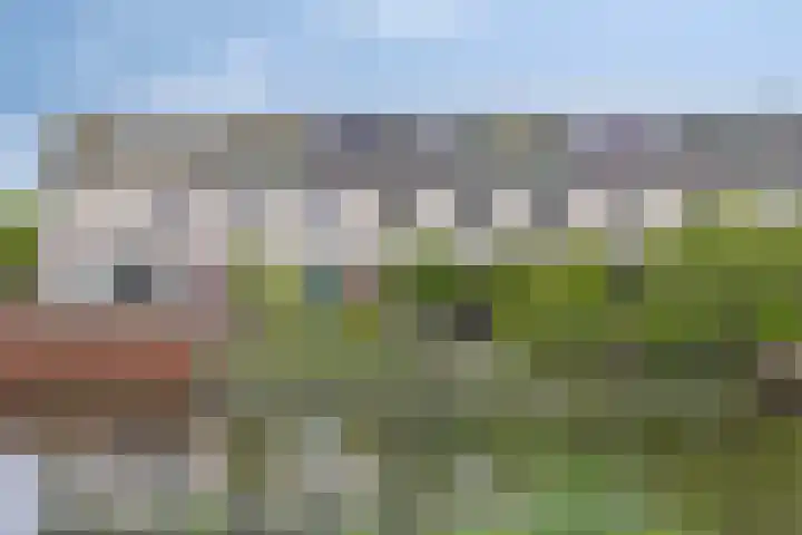 Irene Vorrinkland 32 Heerhugowaard thumbnail 37