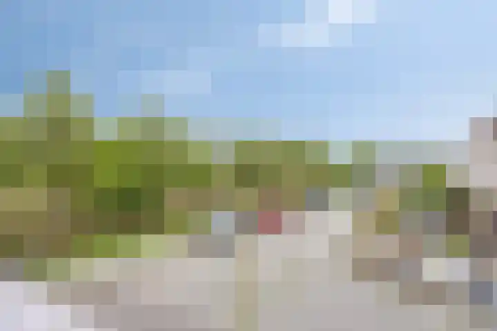 Irene Vorrinkland 32 Heerhugowaard thumbnail 43