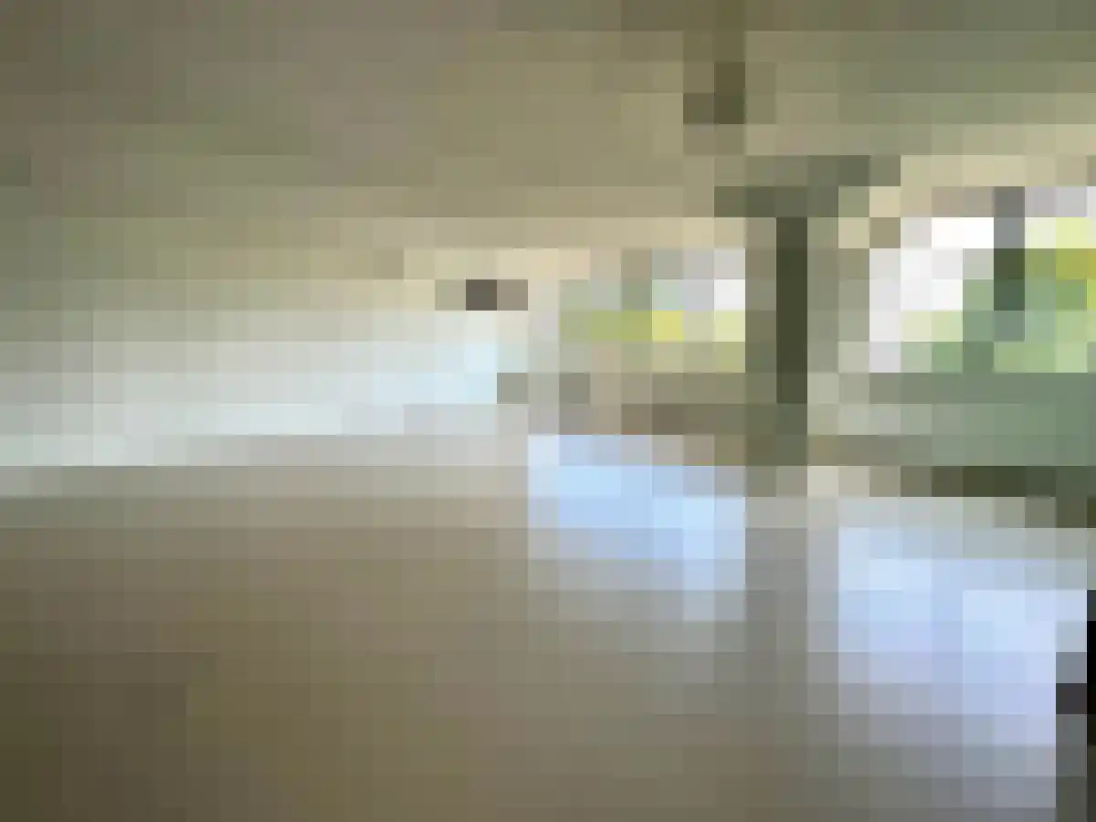 Irene Vorrinkplein 13 Zaandam thumbnail 6