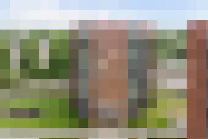 Irene Vorrinkstraat 100 Nijmegen thumbnail 7