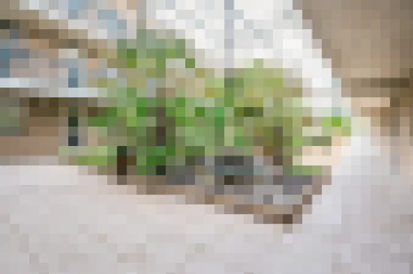 Irene Vorrinkstraat 103 Hoofddorp thumbnail 10