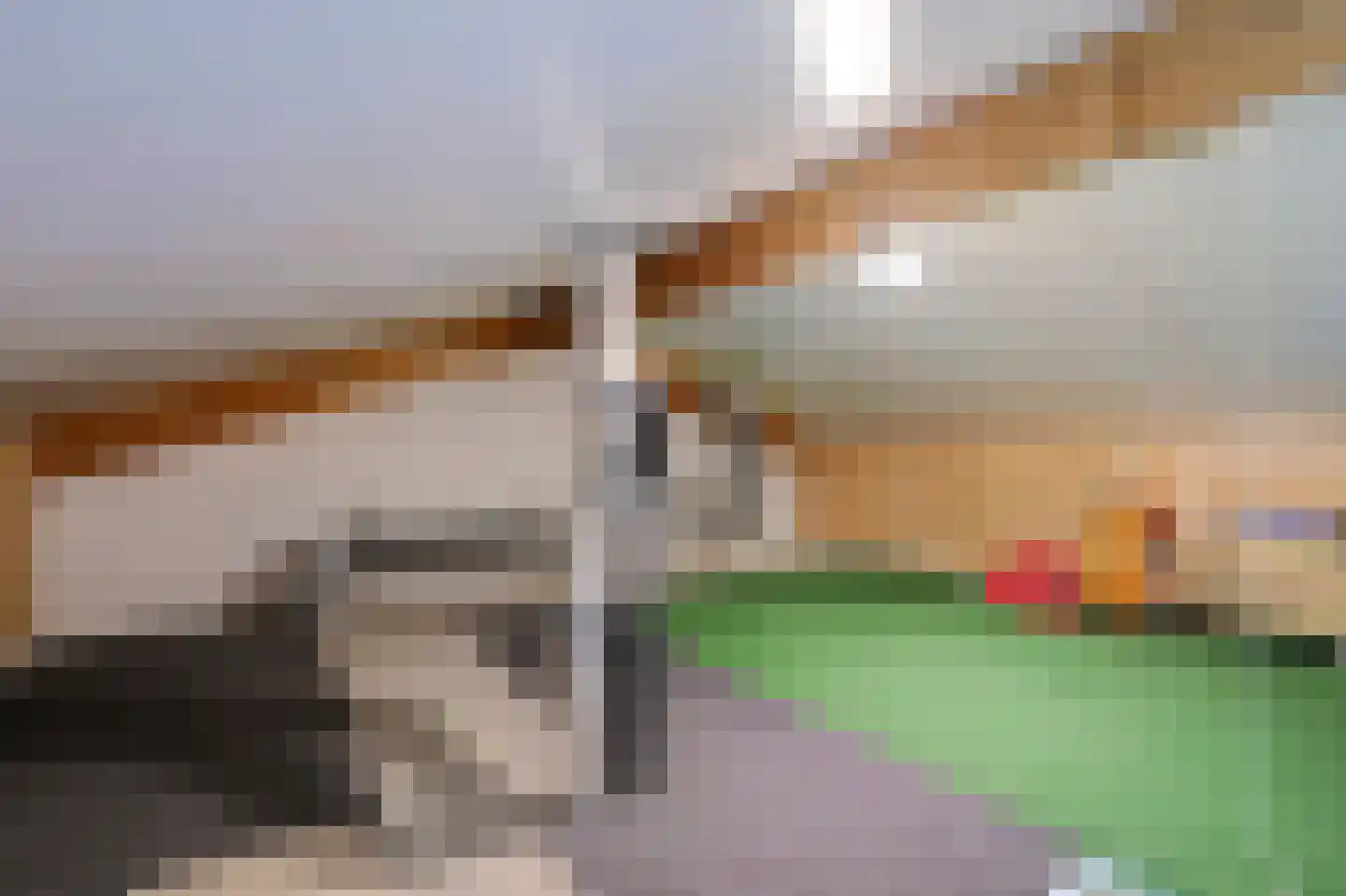 Irene Vorrinkstraat 13 Culemborg thumbnail 33