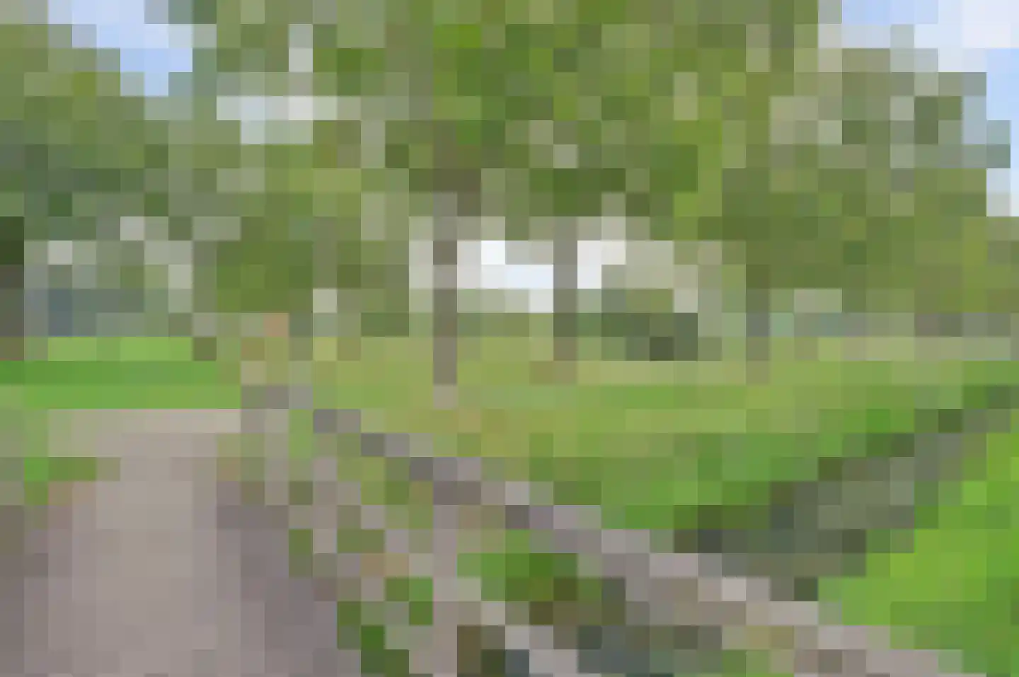 Irene Vorrinkstraat 13 Culemborg thumbnail 35