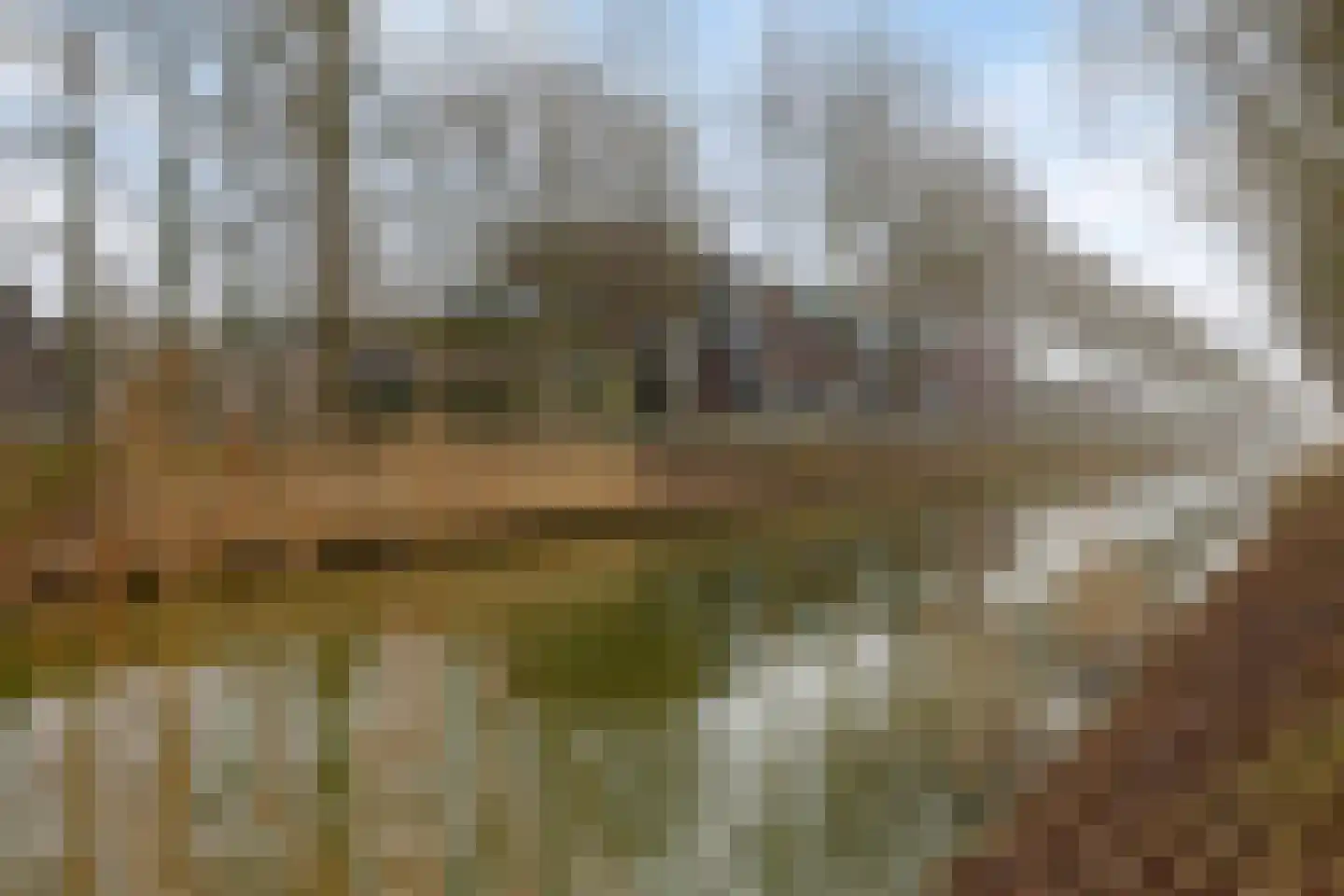 Irene Vorrinkstraat 137 Hoofddorp thumbnail 24