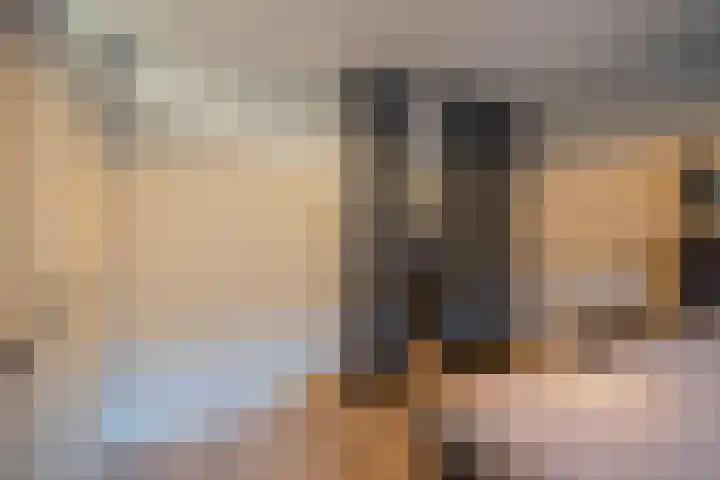 Irene Vorrinkstraat 153 Hoofddorp thumbnail 16