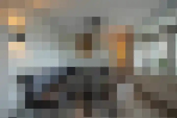 Irene Vorrinkstraat 153 Hoofddorp thumbnail 26