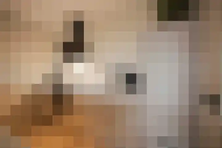 Irene Vorrinkstraat 153 Hoofddorp thumbnail 35