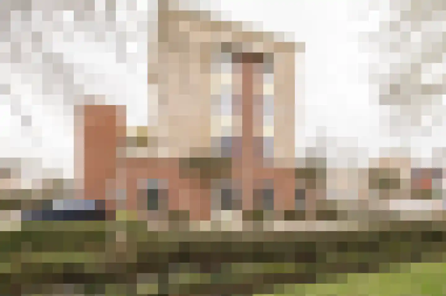 Irene Vorrinkstraat 3 Culemborg