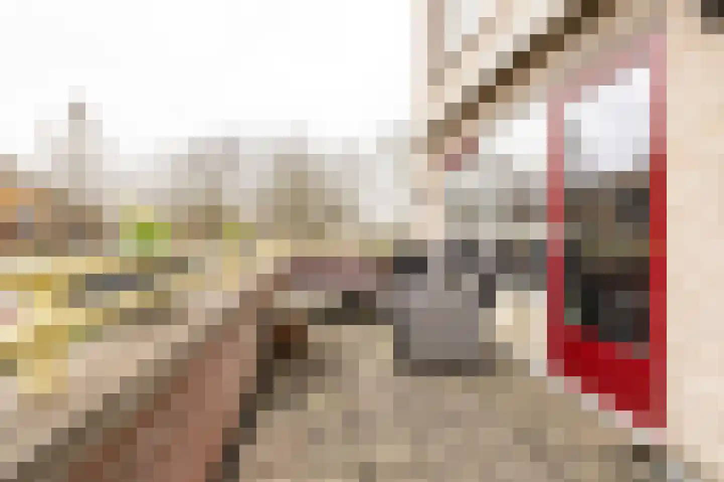 Irene Vorrinkstraat 3 Culemborg thumbnail 10