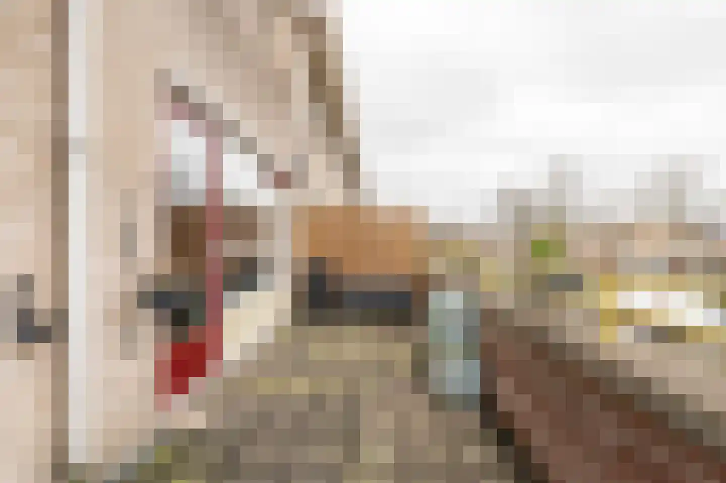 Irene Vorrinkstraat 3 Culemborg thumbnail 11