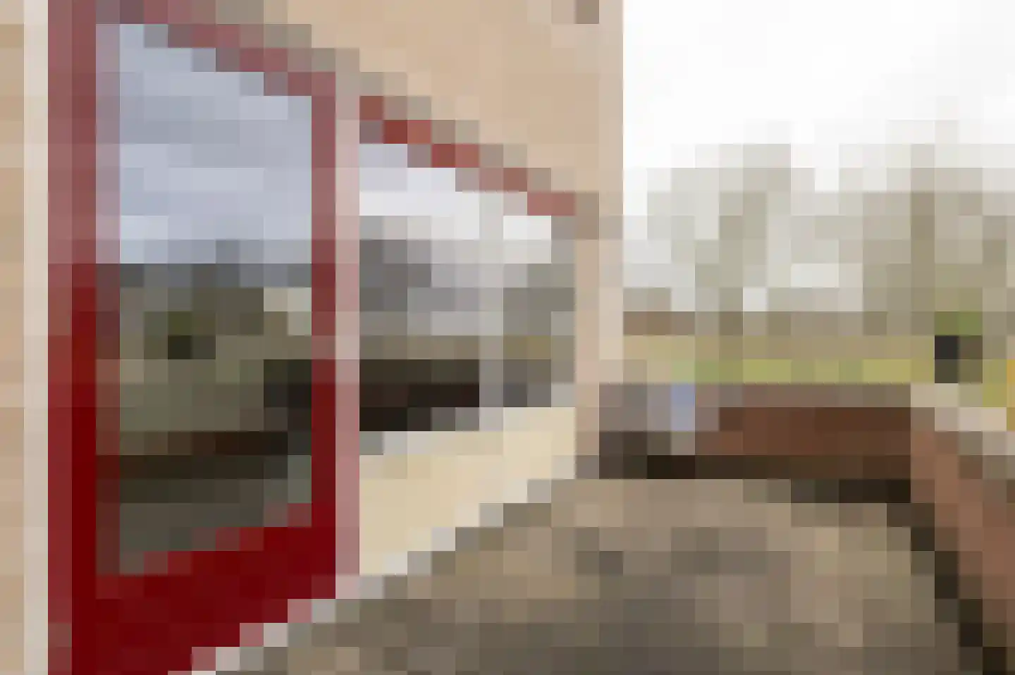 Irene Vorrinkstraat 3 Culemborg thumbnail 19