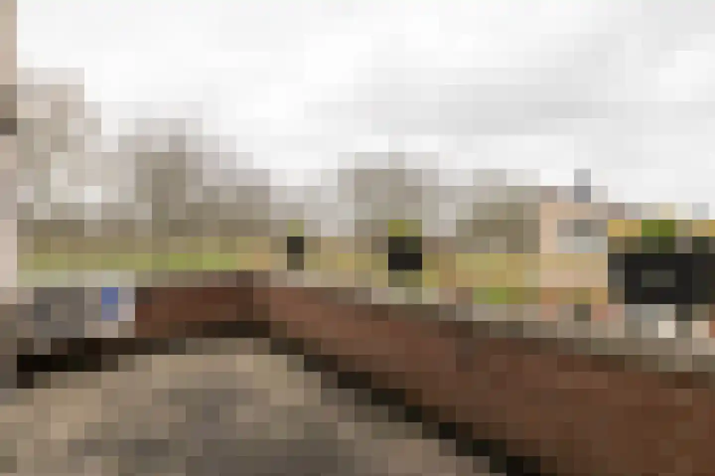 Irene Vorrinkstraat 3 Culemborg thumbnail 20