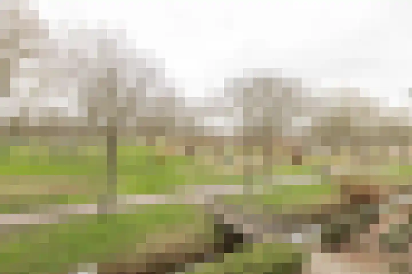 Irene Vorrinkstraat 3 Culemborg thumbnail 21