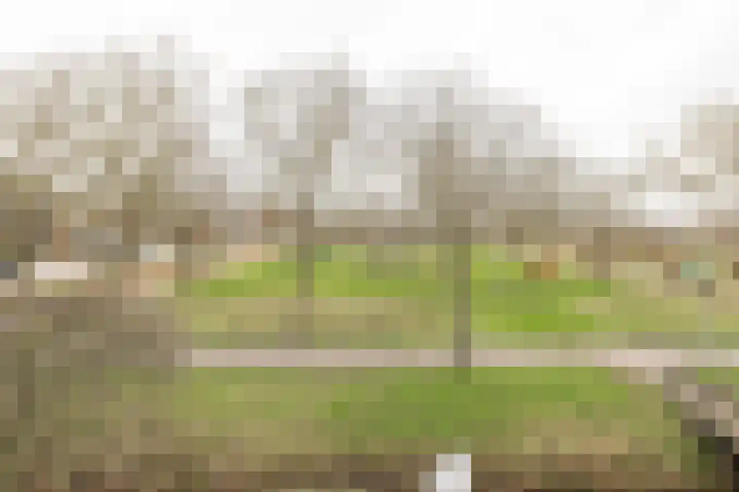 Irene Vorrinkstraat 3 Culemborg thumbnail 22