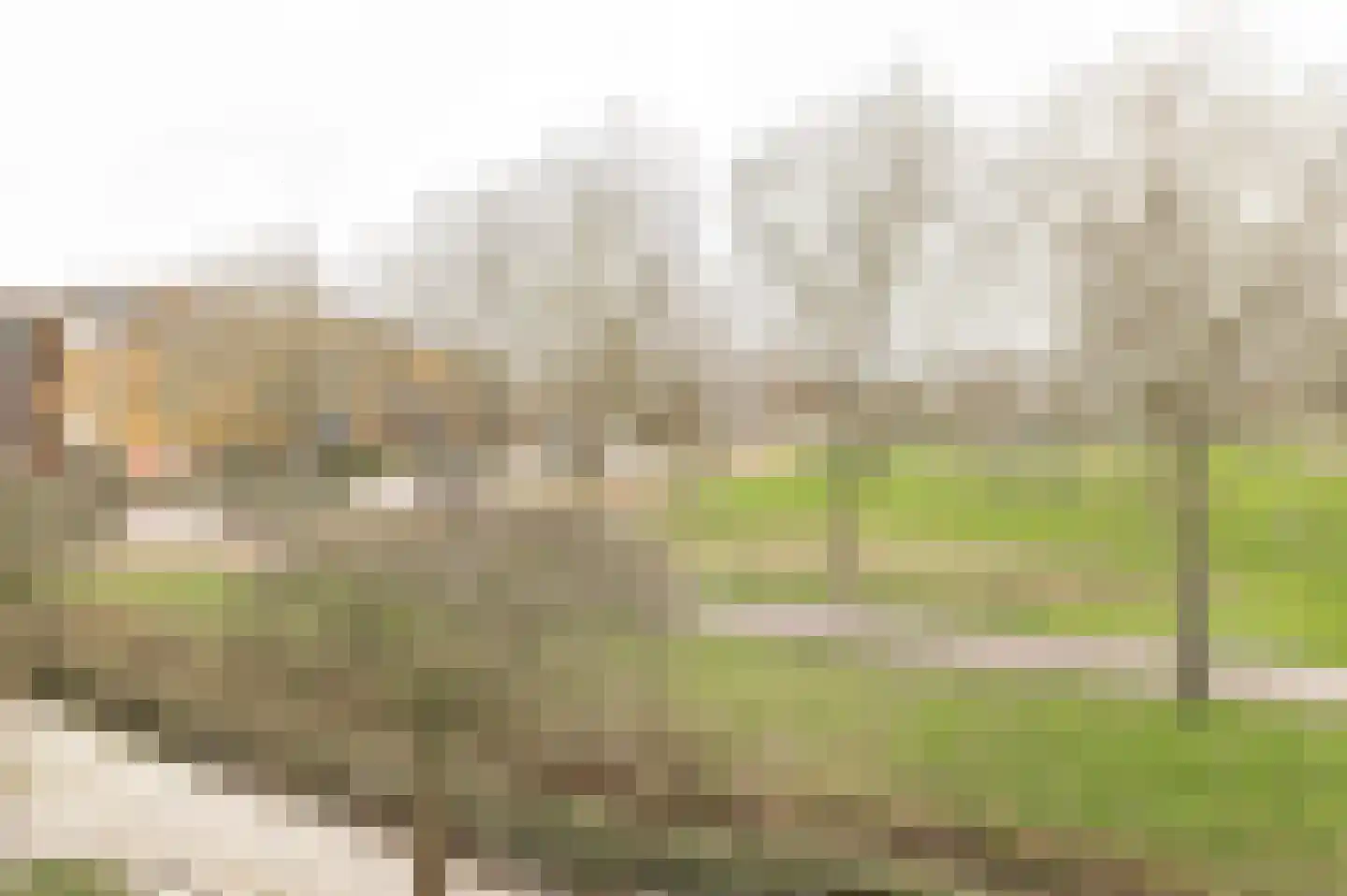 Irene Vorrinkstraat 3 Culemborg thumbnail 23