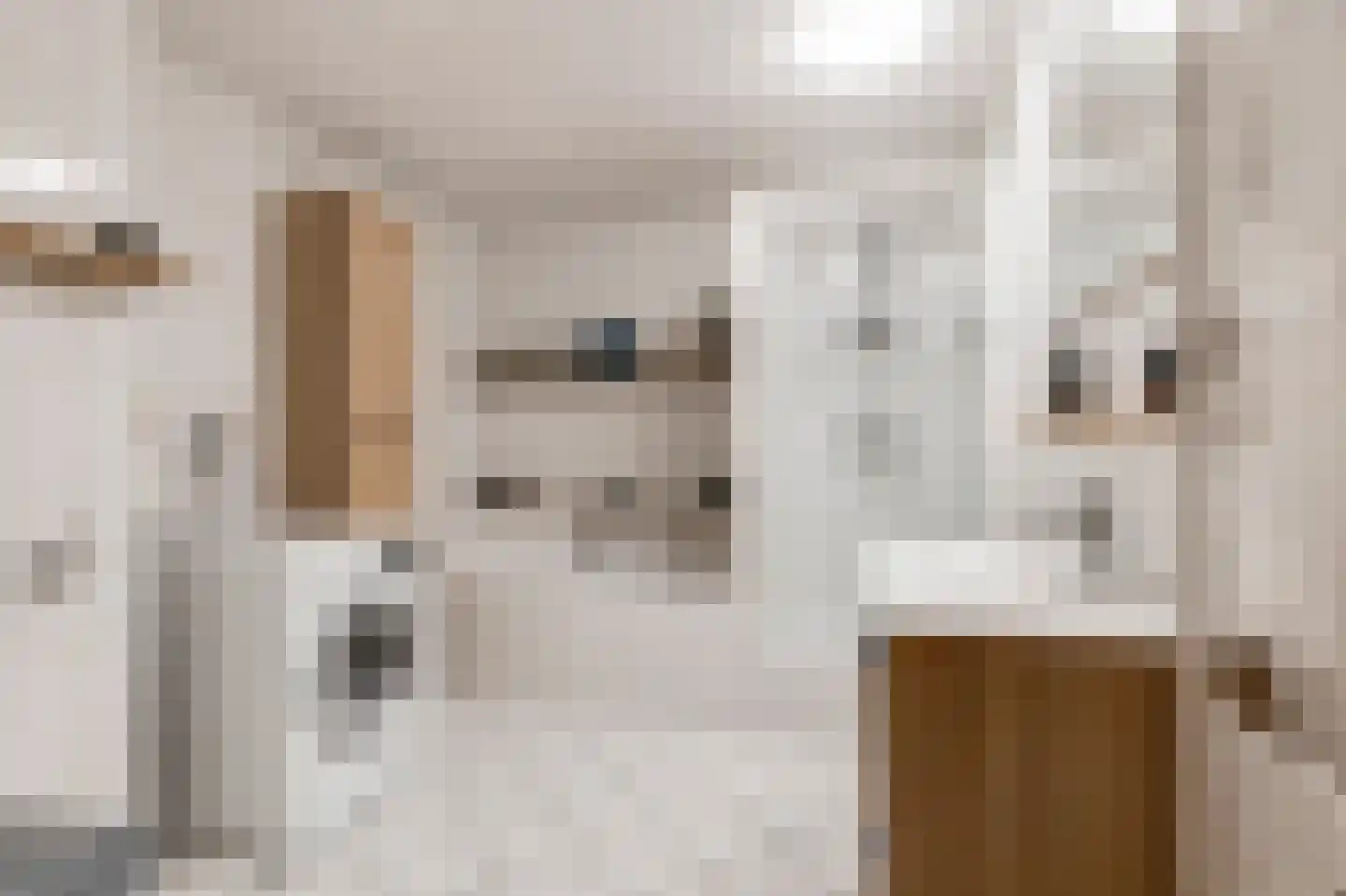 Irene Vorrinkstraat 3 Culemborg thumbnail 29