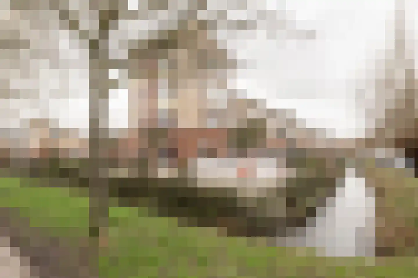 Irene Vorrinkstraat 3 Culemborg thumbnail 36