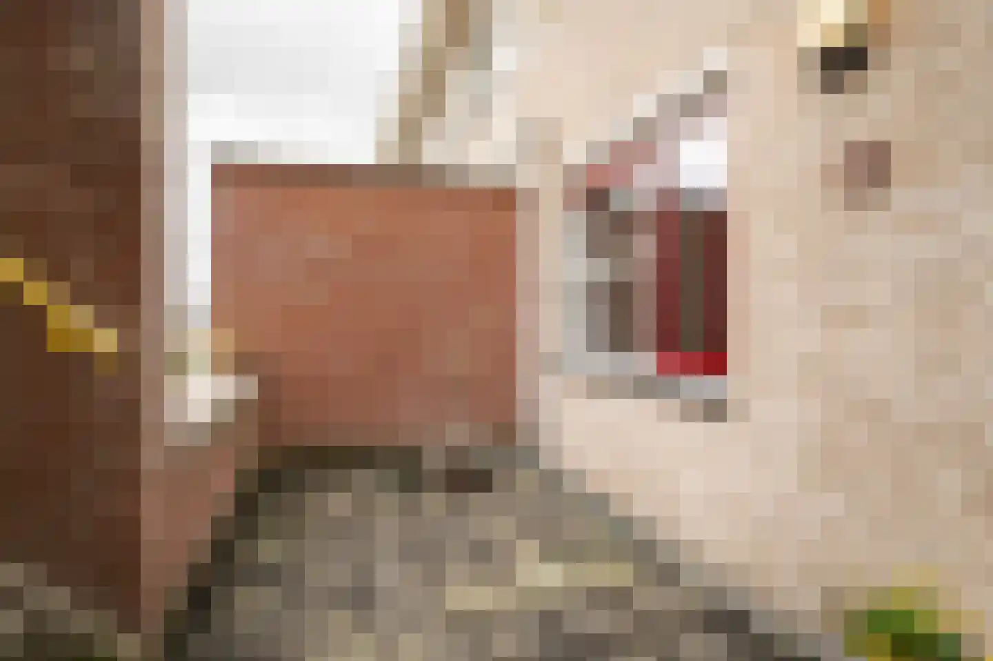Irene Vorrinkstraat 3 Culemborg thumbnail 37