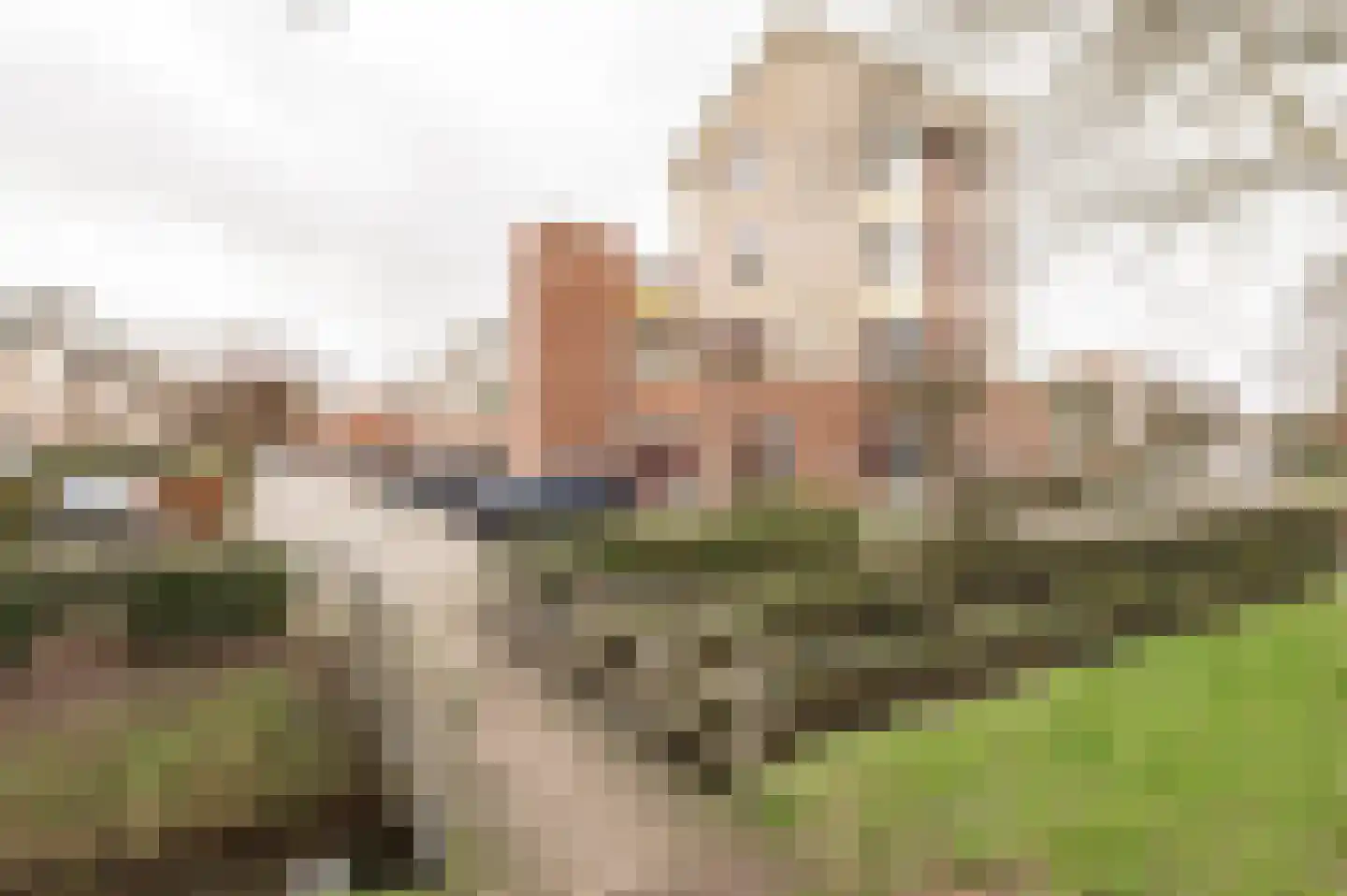 Irene Vorrinkstraat 3 Culemborg thumbnail 40