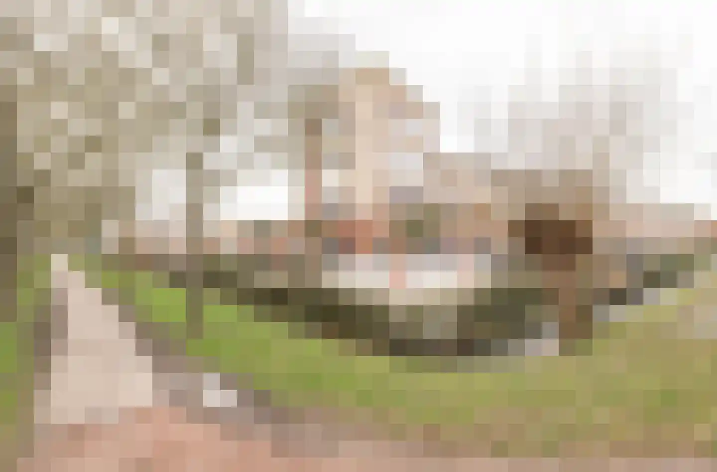 Irene Vorrinkstraat 3 Culemborg thumbnail 41