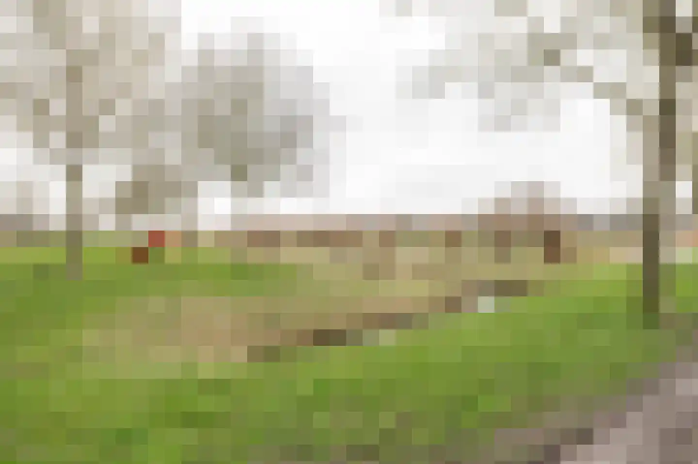 Irene Vorrinkstraat 3 Culemborg thumbnail 42