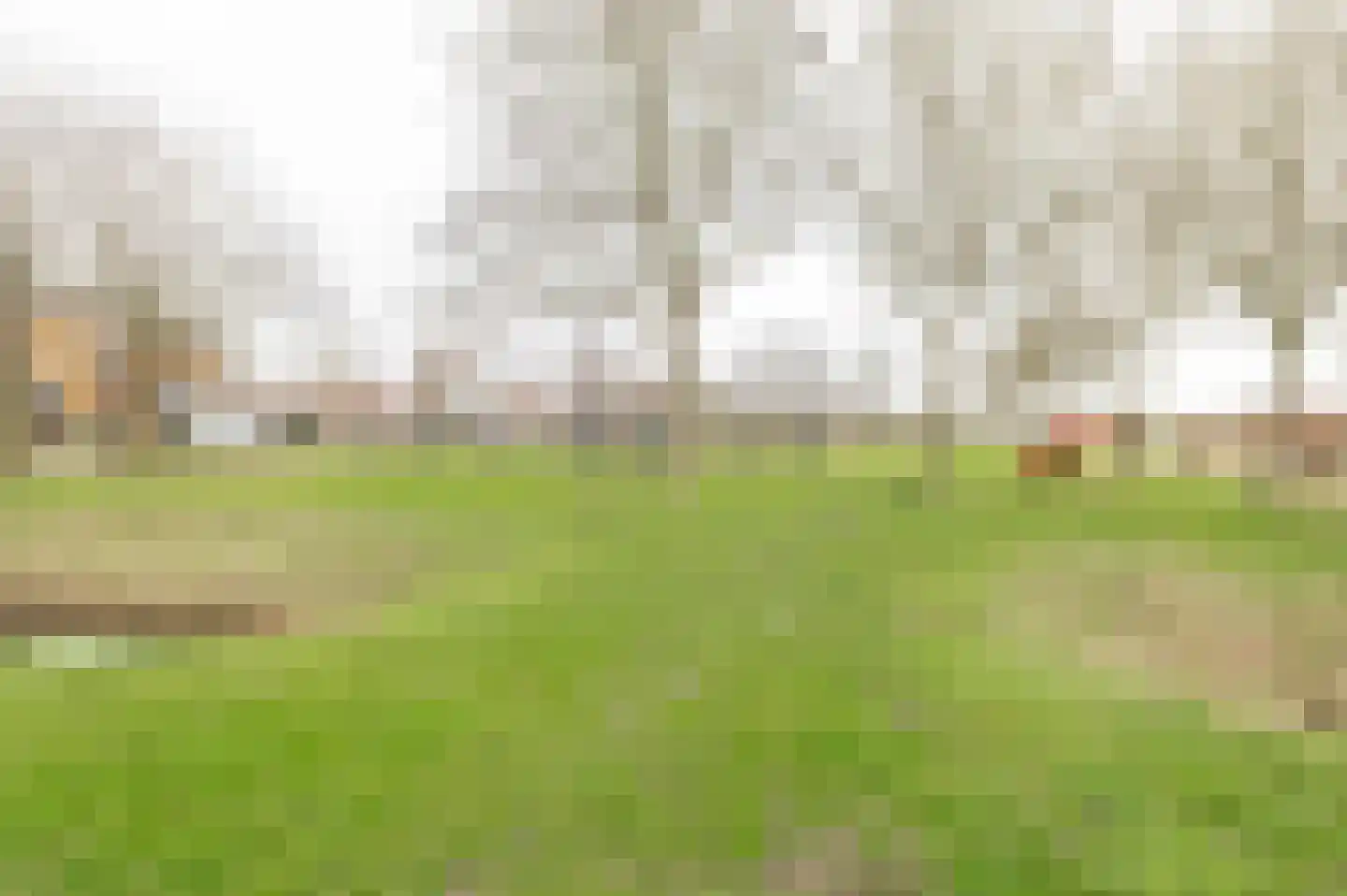 Irene Vorrinkstraat 3 Culemborg thumbnail 43