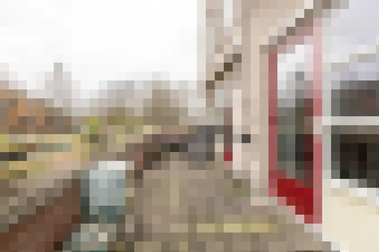 Irene Vorrinkstraat 3 Culemborg thumbnail 9