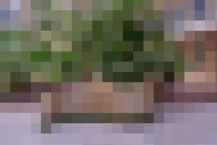 Irene Vorrinkstraat 3 Hoofddorp thumbnail 9